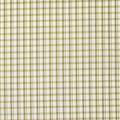 SCALAMANDRE FABRICS-SC 000526983-ASTOR CHECK-LEAF