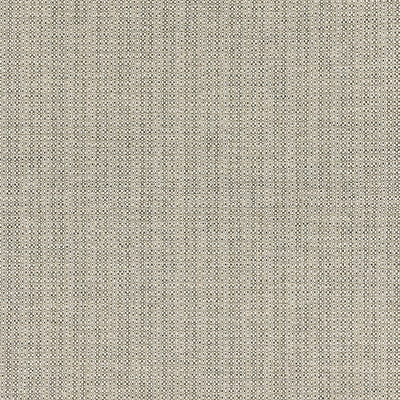 SCALAMANDRE FABRICS-SC 000527192-TAHITI TWEED-STONE