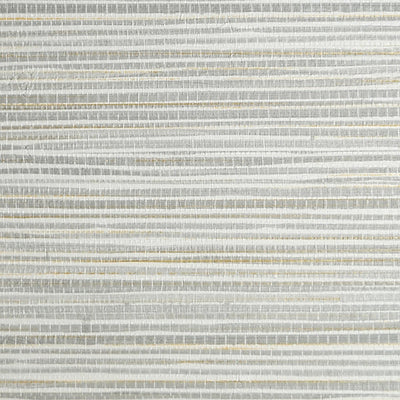 SCALAMANDRE WALLCOVERING-SC 0005WP88440-SEAGRASS-PEWTER