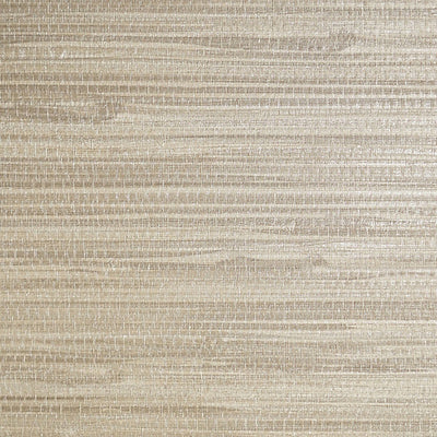 SCALAMANDRE WALLCOVERING-SC 0007WP88438-PAMPAS-DRIFTWOOD