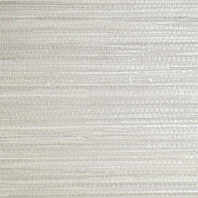 SCALAMANDRE WALLCOVERING-SC 0008WP88438-PAMPAS-SILVER