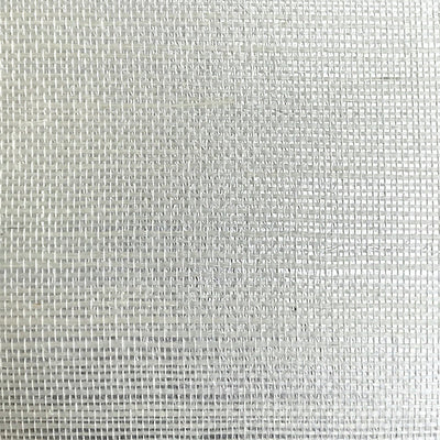 SCALAMANDRE WALLCOVERING-SC 0010G1194-SISAL METALLIC-WHITE PEARL
