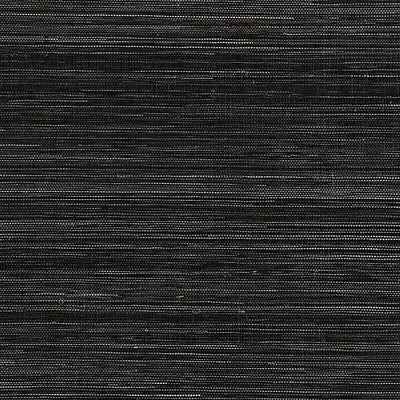 SCALAMANDRE WALLCOVERING-SC 0012WP88347-SHANTUNG GRASSCLOTH-BLACK PEPPER