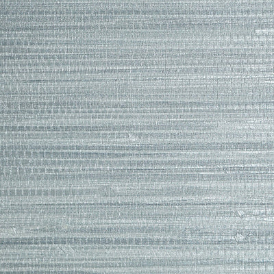 SCALAMANDRE WALLCOVERING-SC 0012WP88438-PAMPAS-CHAMBRAY