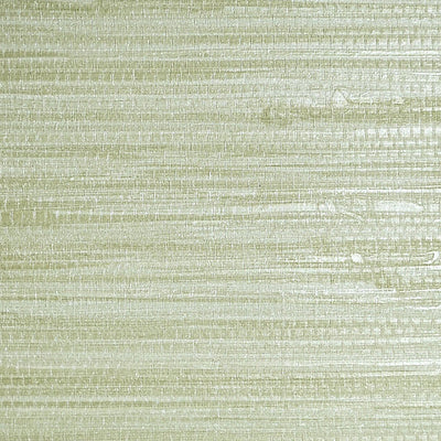 SCALAMANDRE WALLCOVERING-SC 0014WP88438-PAMPAS-SEAGRASS
