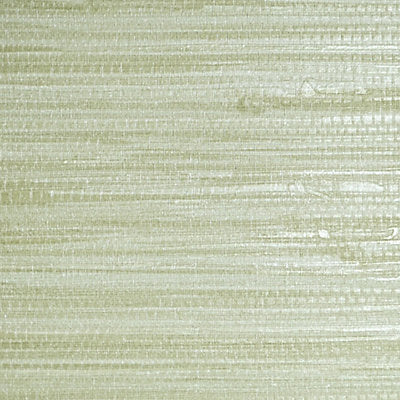 Scalamandre Wallcovering, a selection of wallpaper such as Texture.