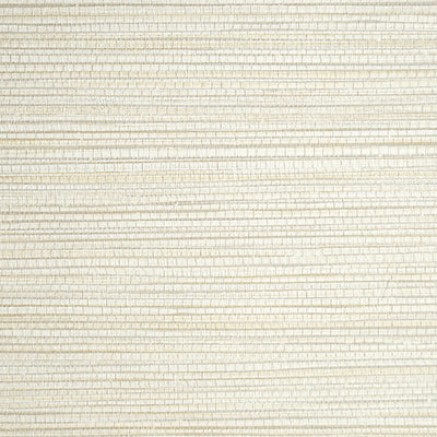 SCALAMANDRE WALLCOVERING-SC 0015WP88441-WILLOW WEAVE-PIGNOLI