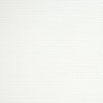 SCALAMANDRE WALLCOVERING-SC 0015WP88442-SAVANNA SEEDLING-FROTH