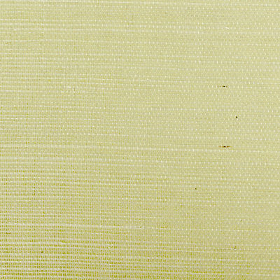 Scalamandre Wallcovering, a selection of wallpaper such as Texture.