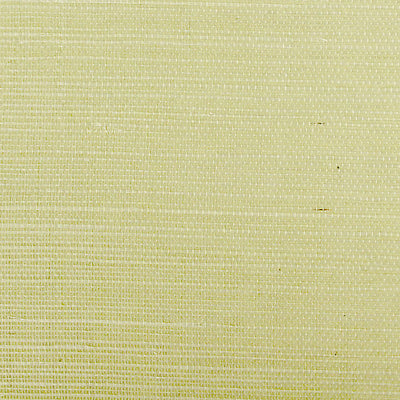 SCALAMANDRE WALLCOVERING-SC 0017G1193-SISAL-SPRING