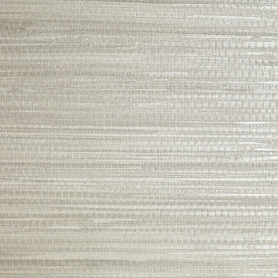 SCALAMANDRE WALLCOVERING-SC 0018WP88438-PAMPAS-GREIGE