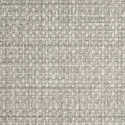 SCALAMANDRE WALLCOVERING-SC 0018WP88443-JUTE-GOOSE