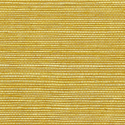 SCALAMANDRE WALLCOVERING-SC 0036G1193-SISAL-BRASS