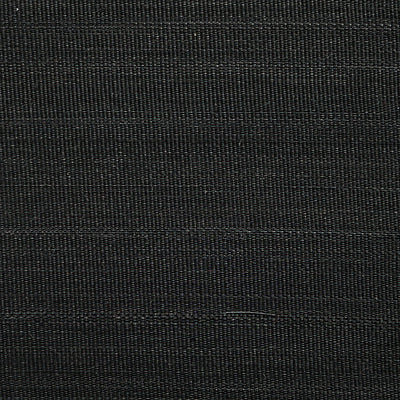 OLD WORLD WEAVERS FABRICS-SK 00010501-PASO HORSEHAIR-BLACK