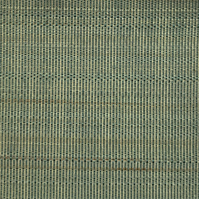 OLD WORLD WEAVERS FABRICS-SK 00010523-PASO HORSEHAIR-PALE TURQUOISE