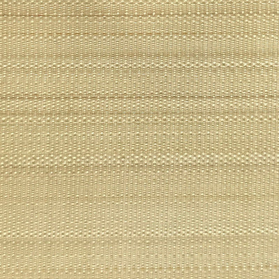 OLD WORLD WEAVERS FABRICS-SK 00010525-PASO HORSEHAIR-LIME
