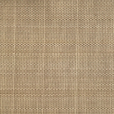 OLD WORLD WEAVERS FABRICS-SK 00010527-PASO HORSEHAIR-MUSHROOM