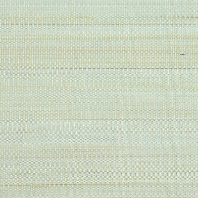 OLD WORLD WEAVERS FABRICS-SK 00010534-PASO HORSEHAIR-PALE BLUE