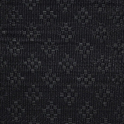 OLD WORLD WEAVERS FABRICS-SK 00010612-CASPIAN HORSEHAIR-BLACK