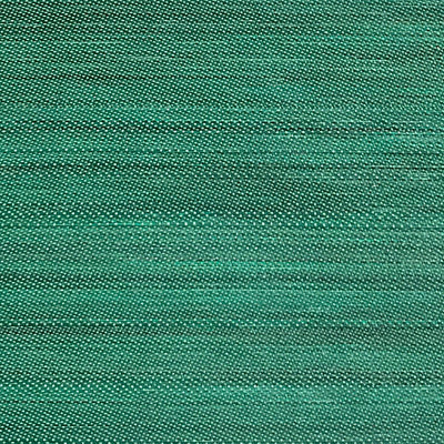 OLD WORLD WEAVERS FABRICS-SK 00140230-CRIOLLO HORSEHAIR-GREEN