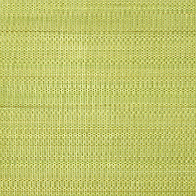 OLD WORLD WEAVERS FABRICS-SK 05430001-PASO HORSEHAIR-CHARTREUSE
