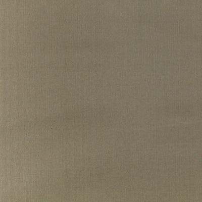 OLD WORLD WEAVERS FABRICS-VP 03111005-PACIFIC SILK-LICHEN