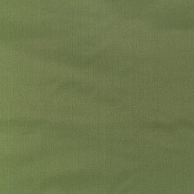 OLD WORLD WEAVERS FABRICS-VP 03401005-PACIFIC SILK-MEADOW