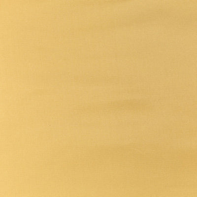 OLD WORLD WEAVERS FABRICS-VP 04141005-PACIFIC SILK-CHAMOIS