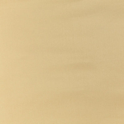 OLD WORLD WEAVERS FABRICS-VP 04161005-PACIFIC SILK-GINGER
