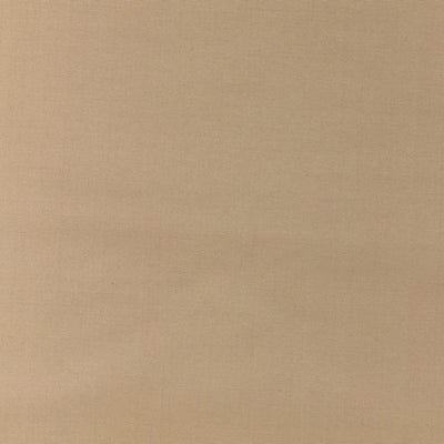 OLD WORLD WEAVERS FABRICS-VP 04251005-PACIFIC SILK-BISCOTTI