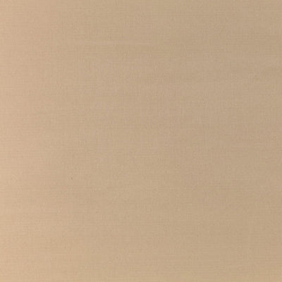 OLD WORLD WEAVERS FABRICS-VP 06101005-PACIFIC SILK-PUTTY