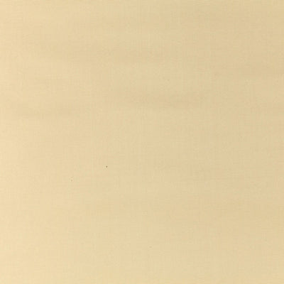 OLD WORLD WEAVERS FABRICS-VP 07101005-PACIFIC SILK-BUTTERCREAM