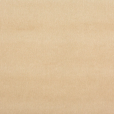OLD WORLD WEAVERS FABRICS-VP 0759GLAM-GLAMOUR VELVET-STAGECOACH