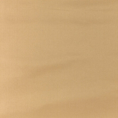 OLD WORLD WEAVERS FABRICS-VP 07901005-PACIFIC SILK-FRAPPE