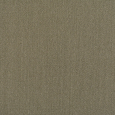 OLD WORLD WEAVERS FABRICS-VP 2004RIO1-RIO-THICKET