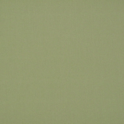 OLD WORLD WEAVERS FABRICS-VP 2011RIO1-RIO-WILLOW