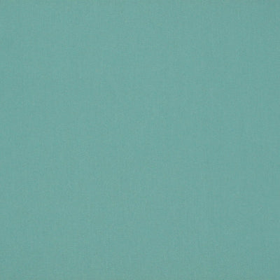 OLD WORLD WEAVERS FABRICS-VP 5509RIO1-RIO-VIRIDIAN