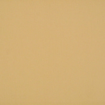 OLD WORLD WEAVERS FABRICS-VP 7003RIO1-RIO-CAMEL