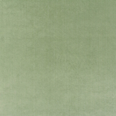 OLD WORLD WEAVERS FABRICS-VW 0023STRI-STRIE VELVET-KELLY