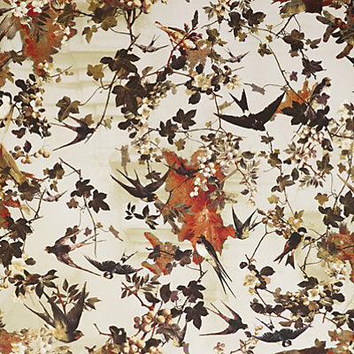 Jean Paul Gaultier Wallcovering, a selection of wallpaper such as Bird , Animal/Insect,Botanical , Foliage,Floral.