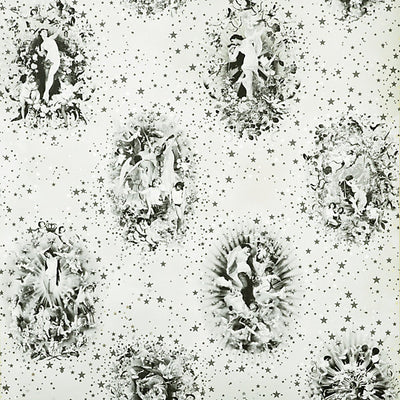 JEAN PAUL GAULTIER WALLCOVERING-WH000013308-ENLACES-ARGENT