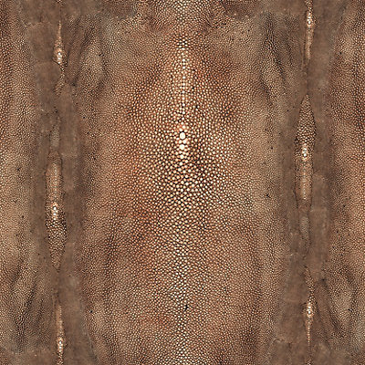 Jean Paul Gaultier Wallcovering, a selection of wallpaper such as Abstract,Animal/Insect ,Animal Skins,Texture.