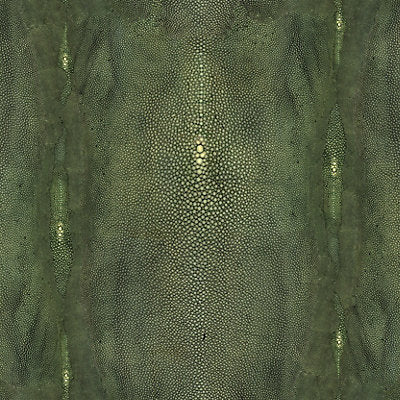 Jean Paul Gaultier Wallcovering, a selection of wallpaper such as Abstract,Animal/Insect ,Animal Skins,Texture.
