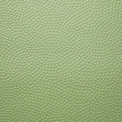 Jean Paul Gaultier Wallcovering, a selection of wallpaper such as Animal/Insect ,Animal Skins,Texture.