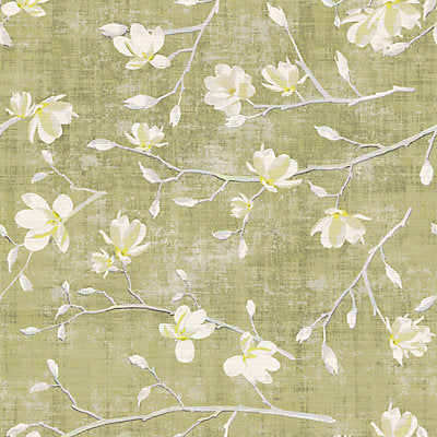 Nicolette Mayer Wallcovering, a selection of wallpaper such as Floral.
