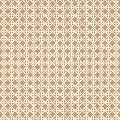Nicolette Mayer Wallcovering, a selection of wallpaper such as Fretwork , Lattice.