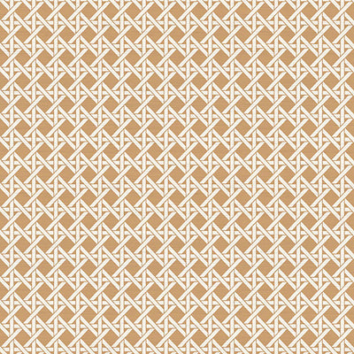 NICOLETTE MAYER WALLCOVERING-WNM0001DEVO-DEVON WEAVE-CAFFE