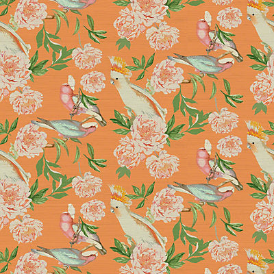Nicolette Mayer Wallcovering, a selection of wallpaper such as Bird , Animal/Insect,Botanical , Foliage,Floral.