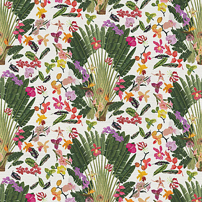 Nicolette Mayer Wallcovering, a selection of wallpaper such as Botanical , Foliage,Floral.