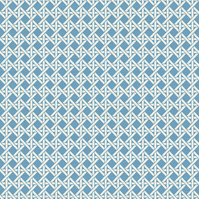 NICOLETTE MAYER WALLCOVERING-WNM0002DEVO-DEVON WEAVE-MONTECITO